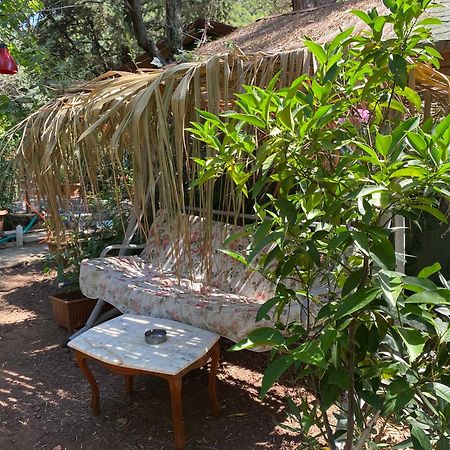Canario Bungalows Çıralı Buitenkant foto