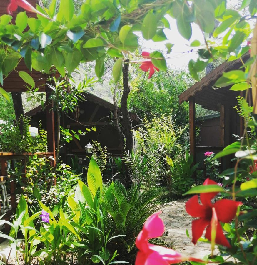 Canario Bungalows Çıralı Buitenkant foto