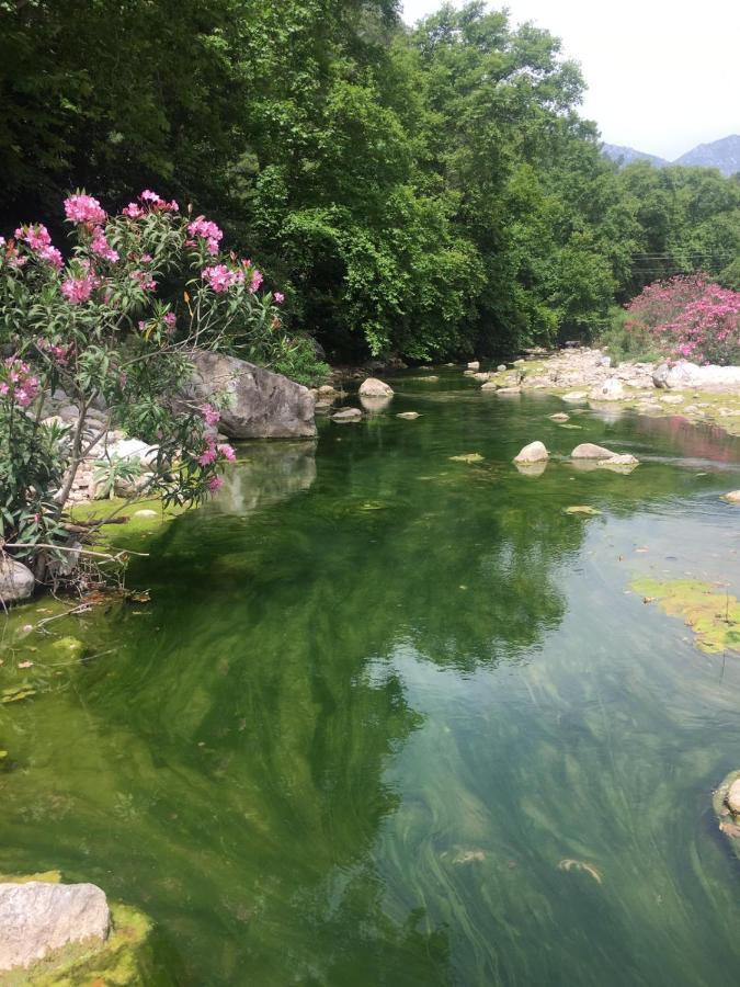 Canario Bungalows Çıralı Buitenkant foto