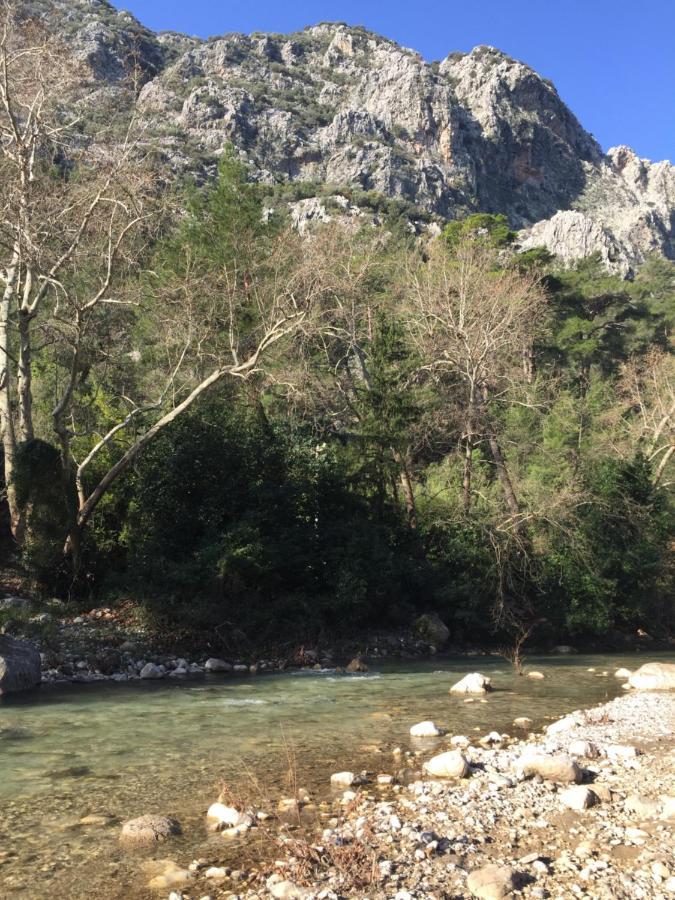Canario Bungalows Çıralı Buitenkant foto