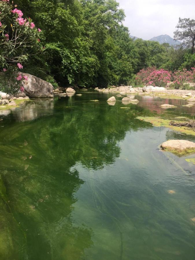 Canario Bungalows Çıralı Buitenkant foto