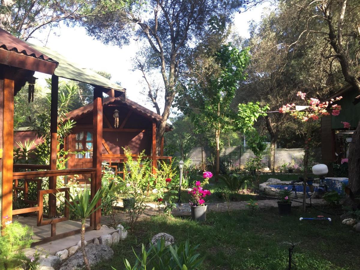Canario Bungalows Çıralı Buitenkant foto