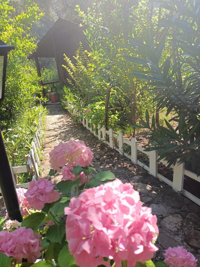 Canario Bungalows Çıralı Buitenkant foto