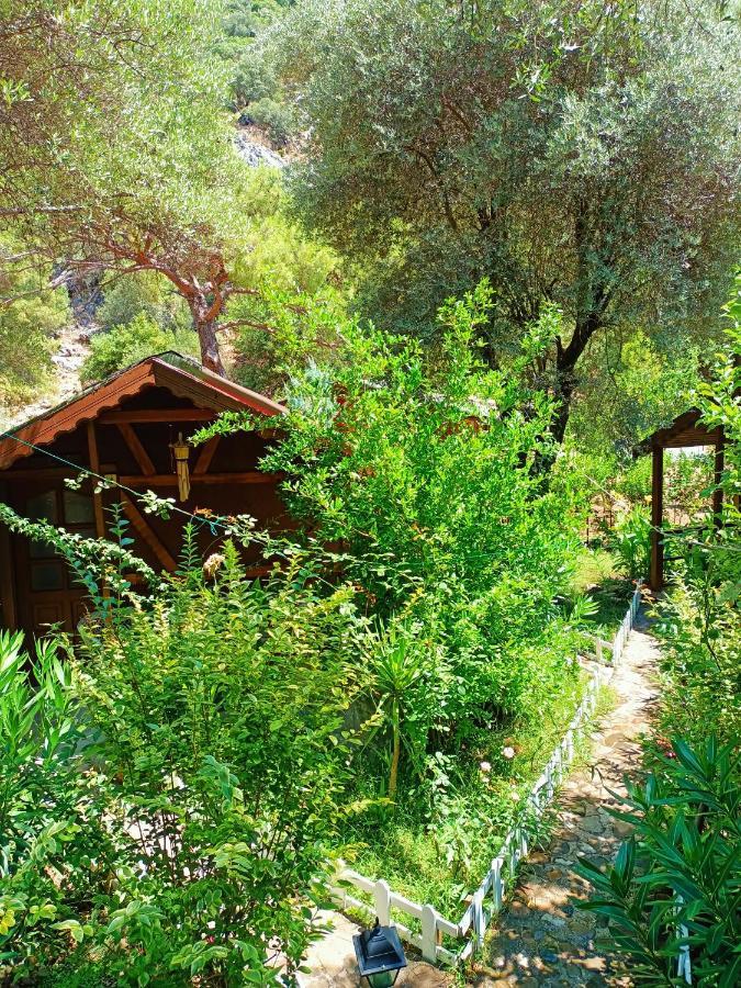 Canario Bungalows Çıralı Buitenkant foto