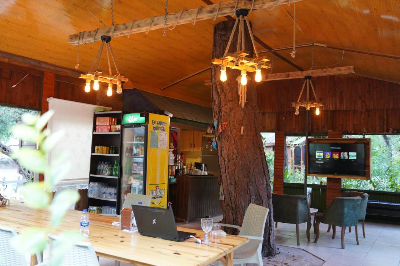 Canario Bungalows Çıralı Buitenkant foto