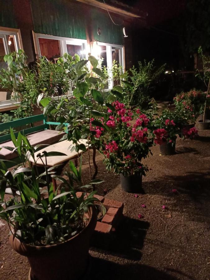 Canario Bungalows Çıralı Buitenkant foto