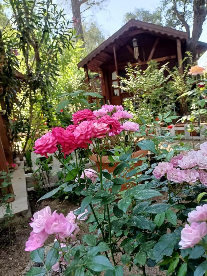 Canario Bungalows Çıralı Buitenkant foto