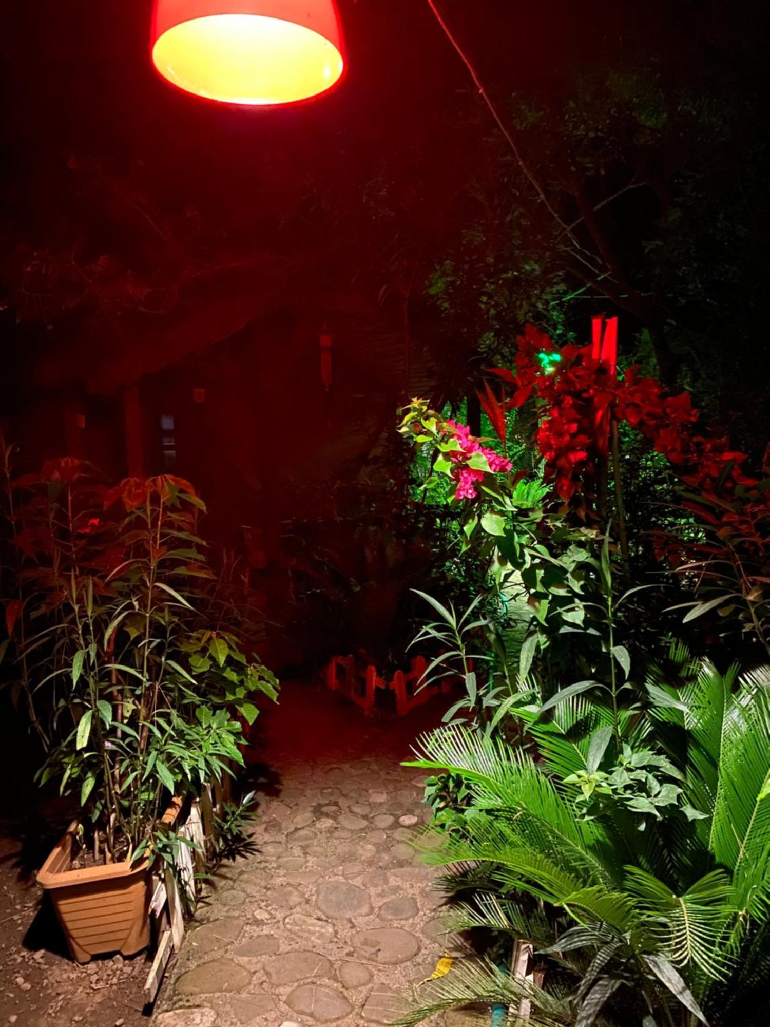Canario Bungalows Çıralı Buitenkant foto
