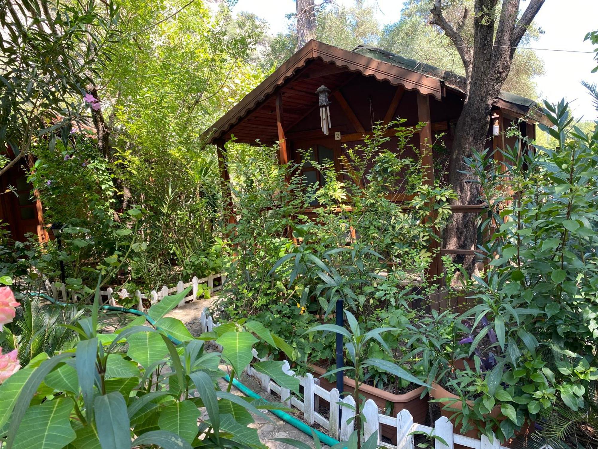 Canario Bungalows Çıralı Buitenkant foto