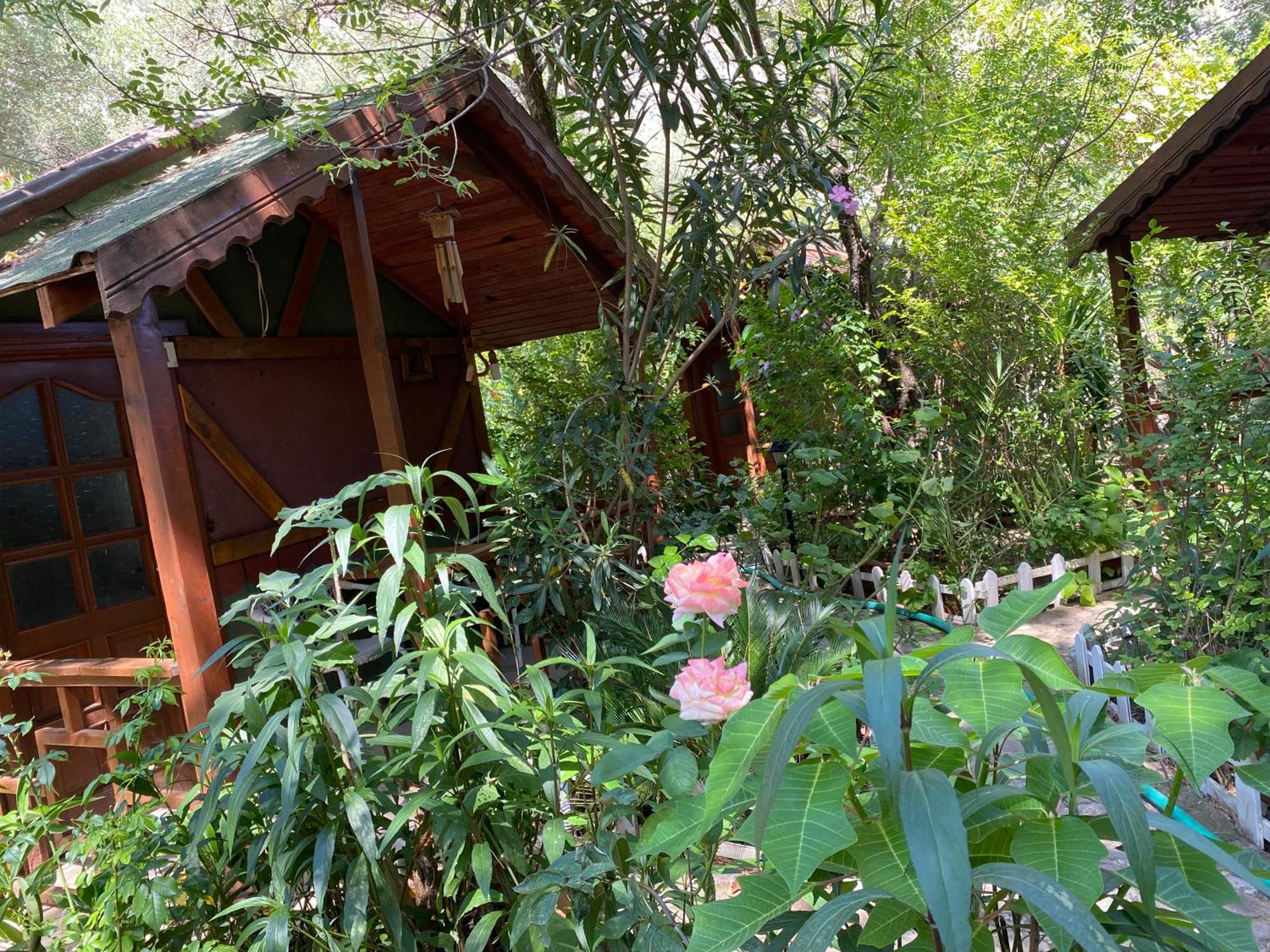 Canario Bungalows Çıralı Buitenkant foto