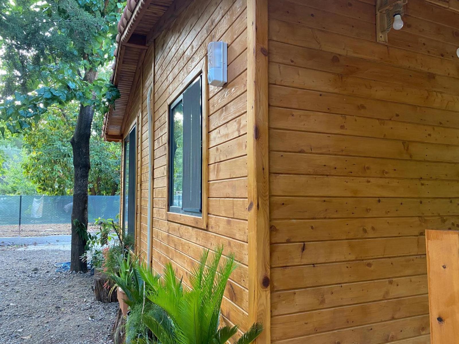 Canario Bungalows Çıralı Buitenkant foto