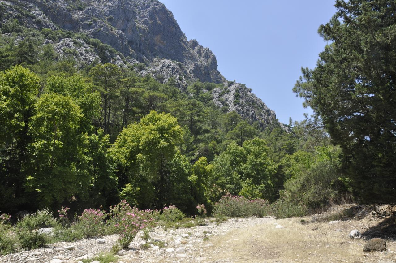 Canario Bungalows Çıralı Buitenkant foto